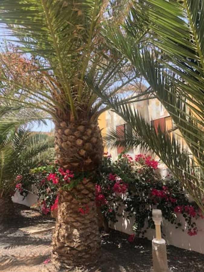 Amaya Relax Costa De Antigua Εξωτερικό φωτογραφία