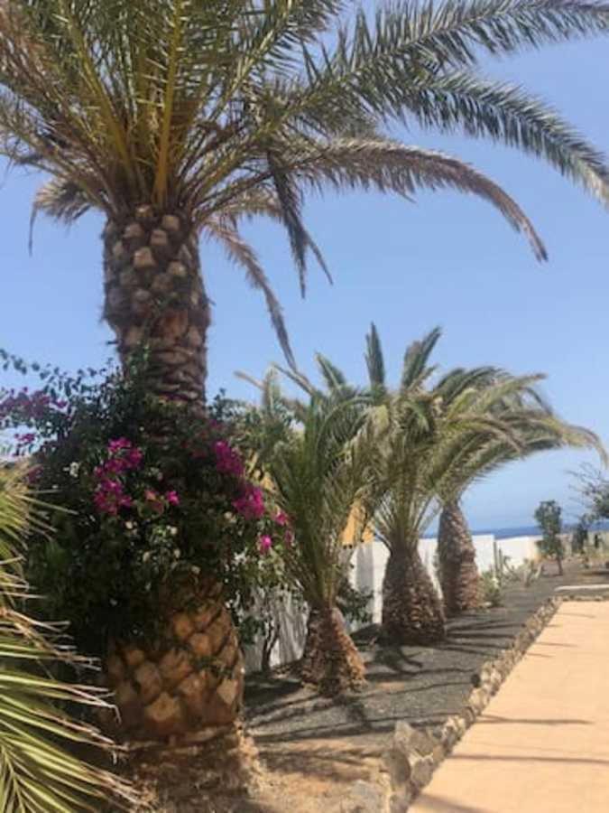 Amaya Relax Costa De Antigua Εξωτερικό φωτογραφία